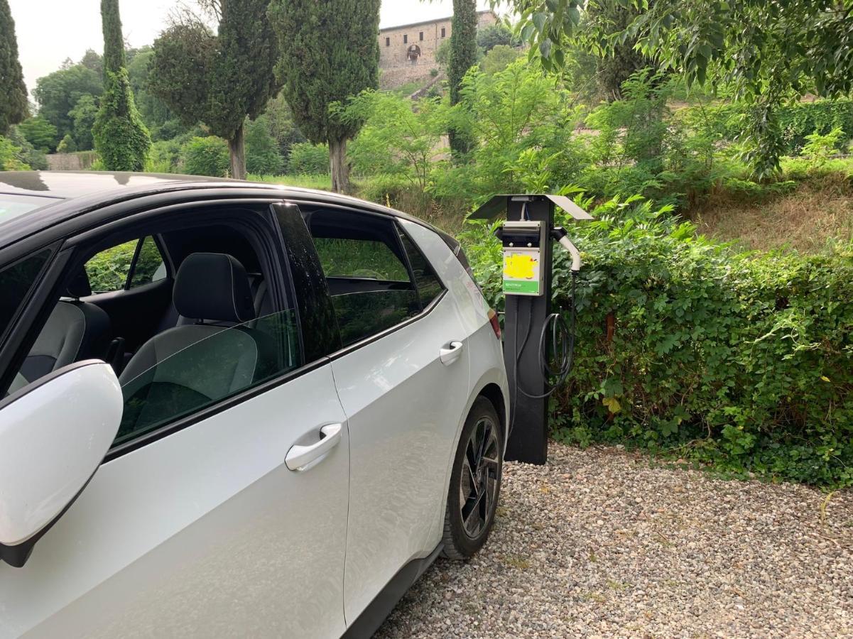 L'Isolo B&B E Case Vacanza Monzambano Eksteriør bilde