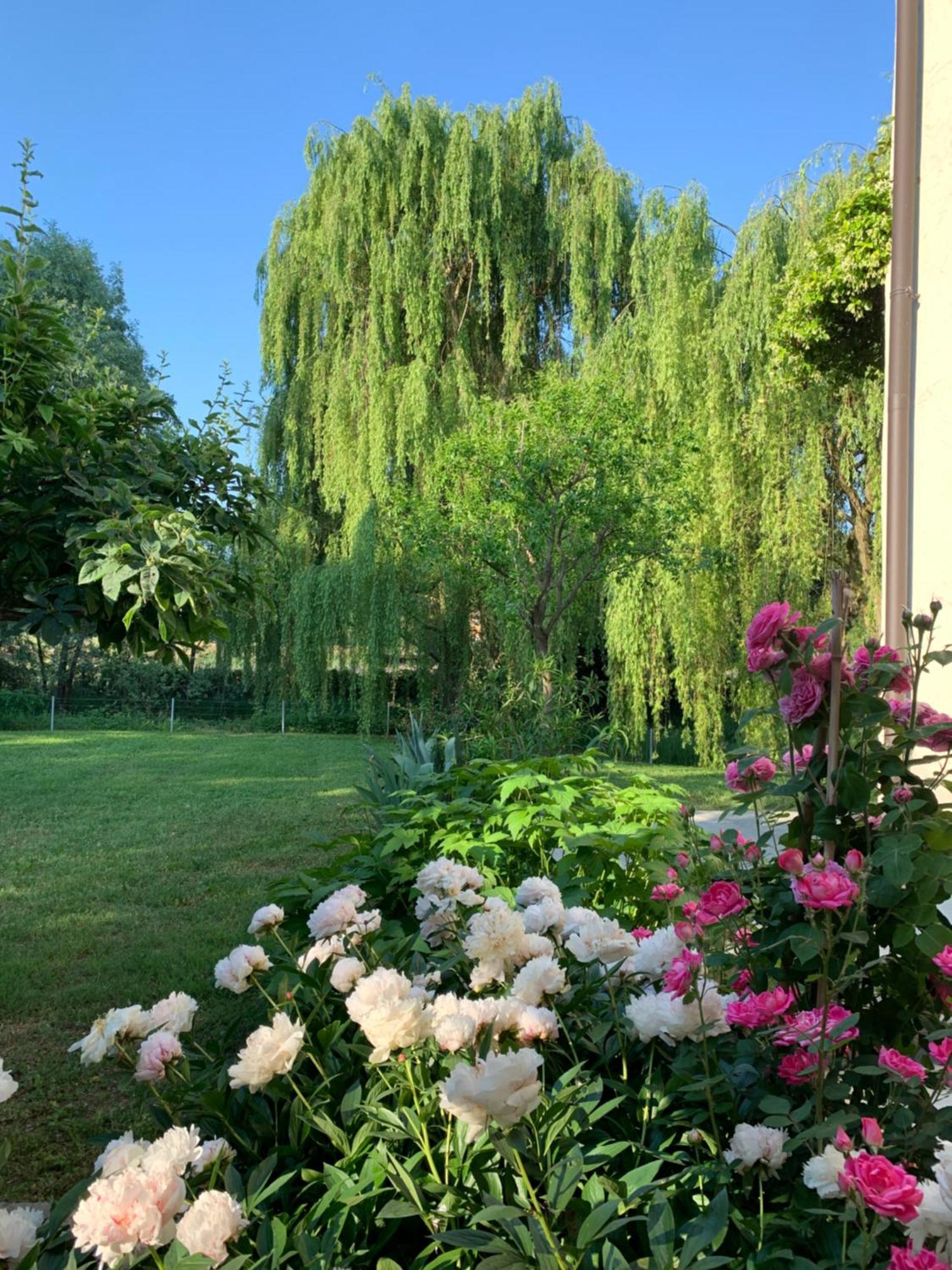 L'Isolo B&B E Case Vacanza Monzambano Eksteriør bilde